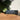 26316837d955b5a1fdfc25fb755fae8a